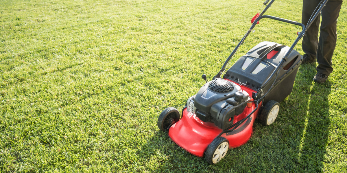 toro mulch